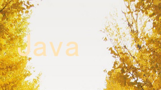 Java