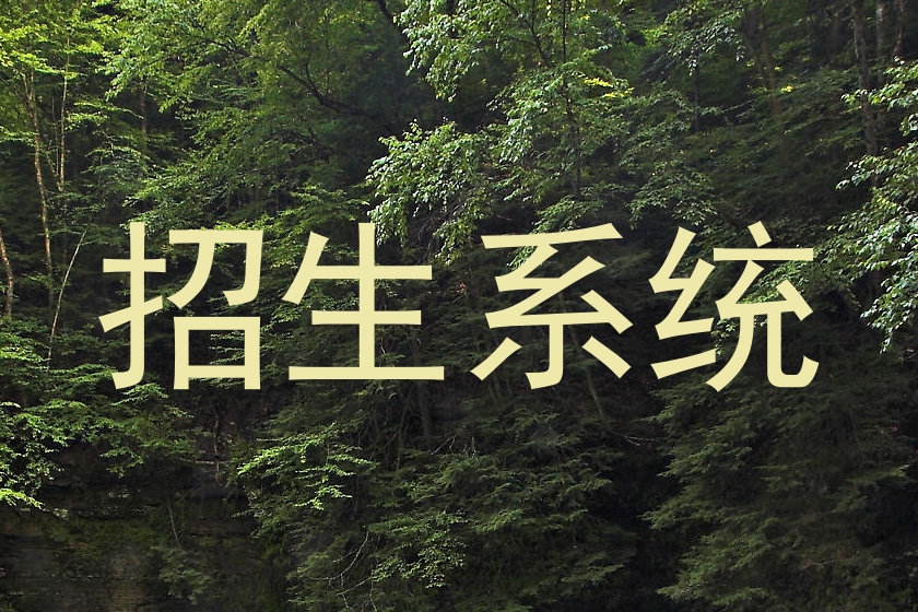 招生系统