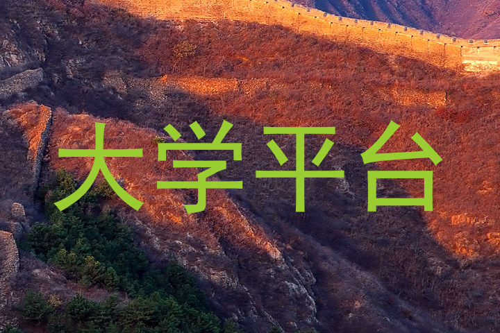 大学平台