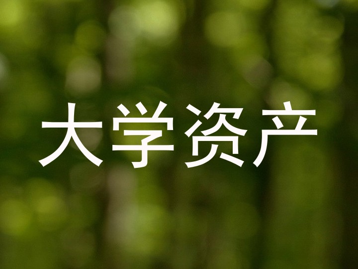 大学资产
