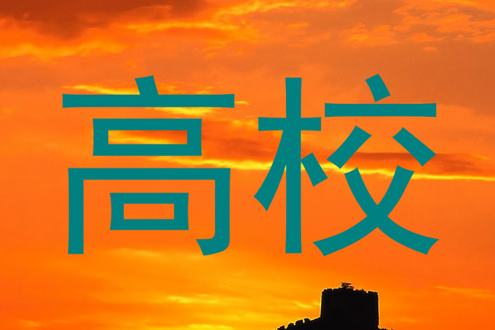 高校
