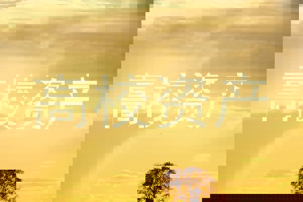 高校资产