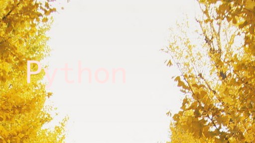 Python