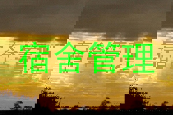 宿舍管理