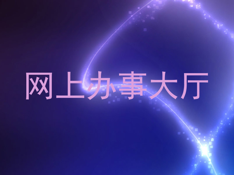 网上办事大厅