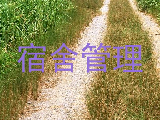 宿舍管理