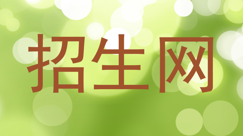 招生网