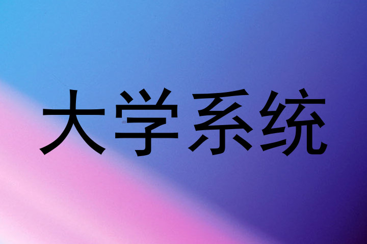 大学系统