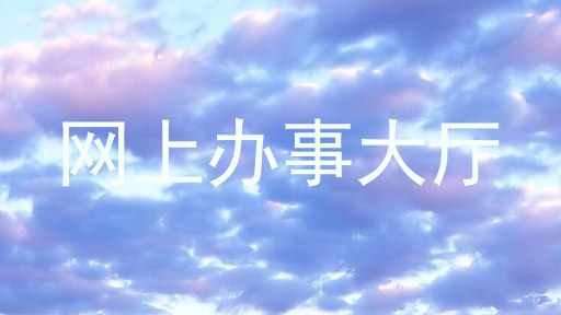网上办事大厅