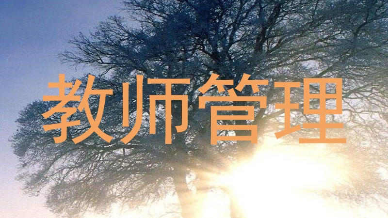 教师管理