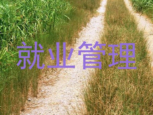 就业管理