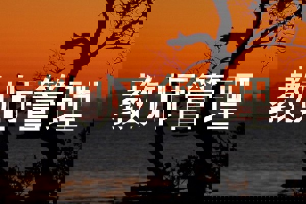 教师管理