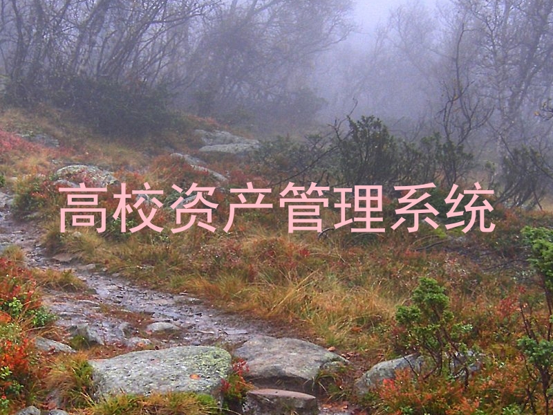 高校资产管理系统