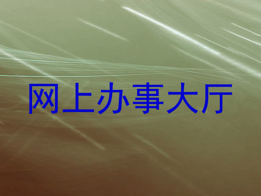 网上办事大厅