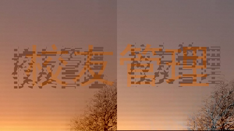 校友管理