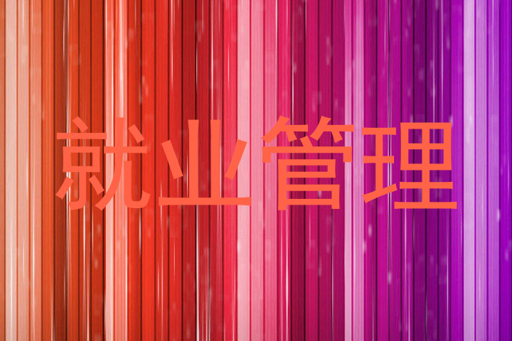 就业管理