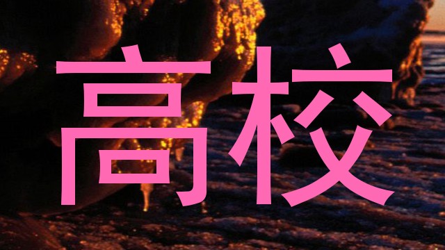 高校