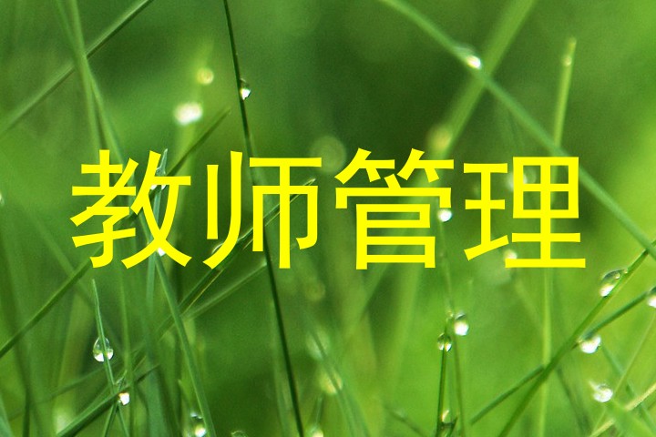 教师管理