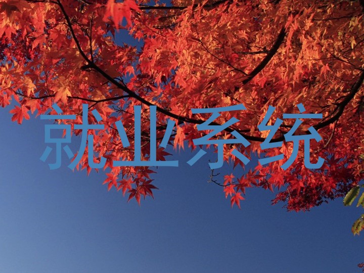 就业系统