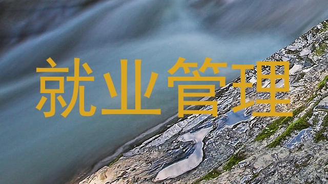 就业管理