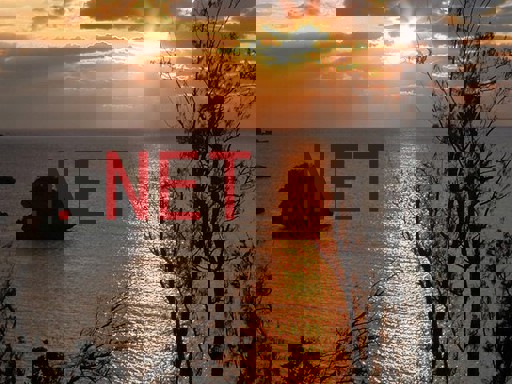 .NET