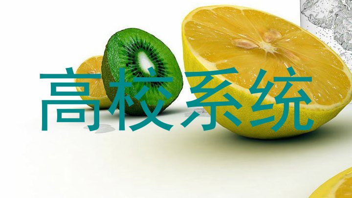 高校系统