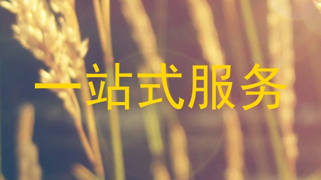 一站式服务