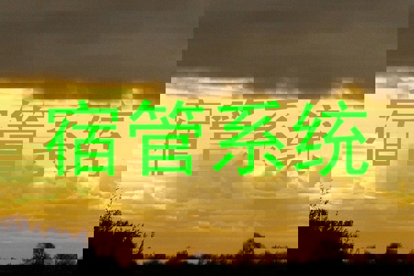 宿管系统