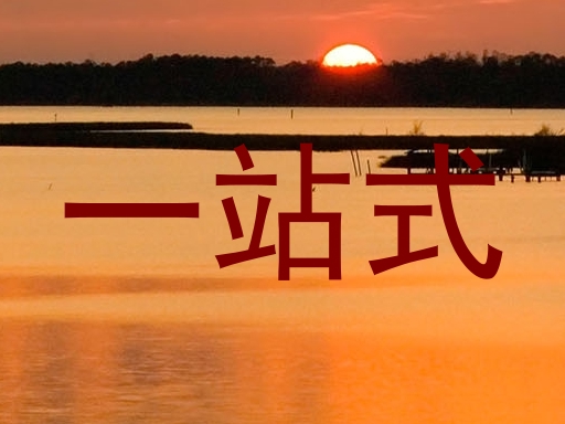 一站式