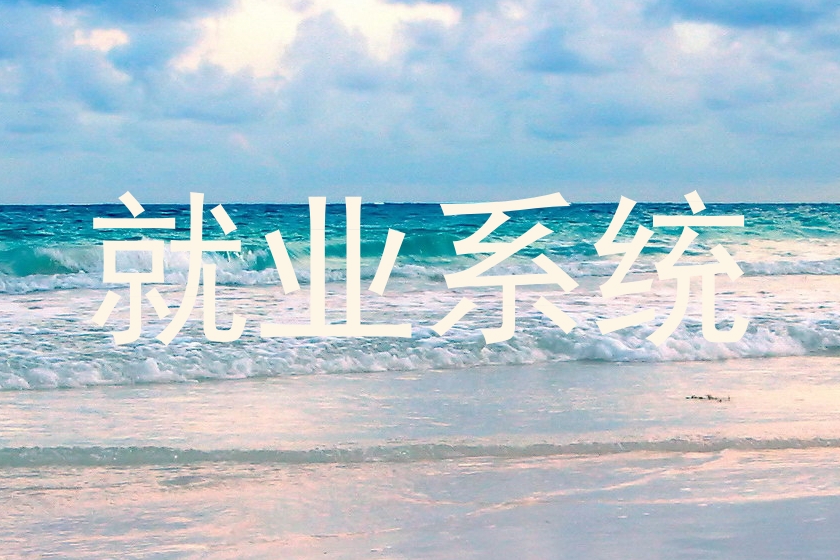 就业系统