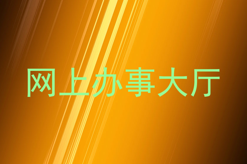 网上办事大厅