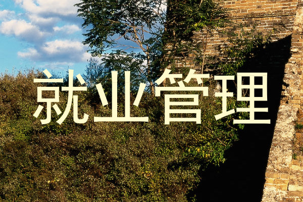 就业管理