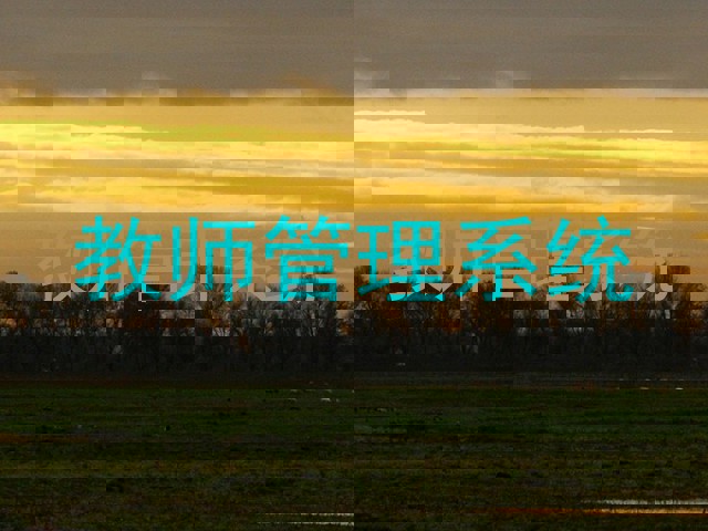 教师管理系统