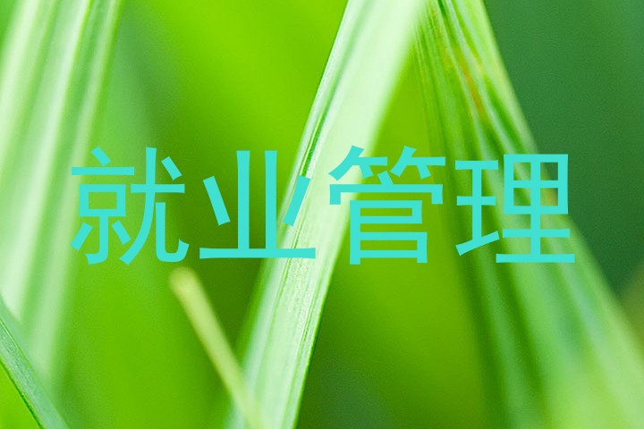 就业管理
