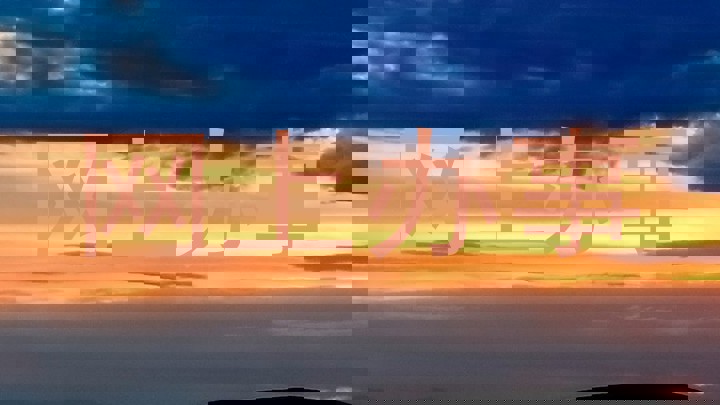 网上办事