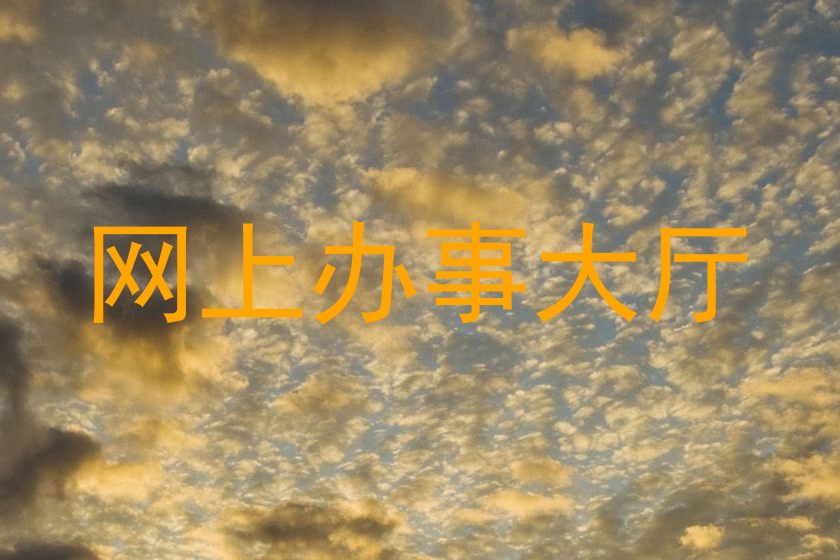 网上办事大厅
