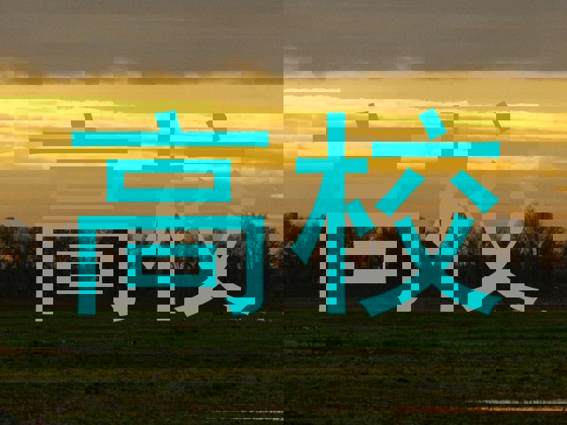 高校