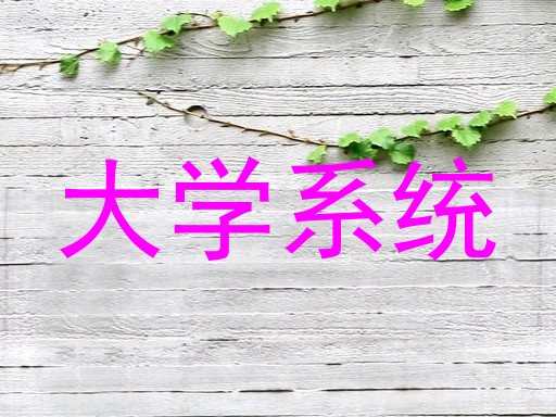 大学系统