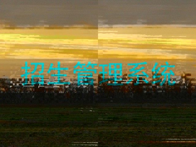 招生管理系统