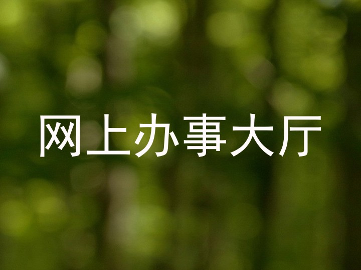 网上办事大厅