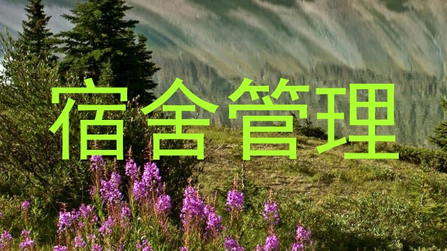 宿舍管理