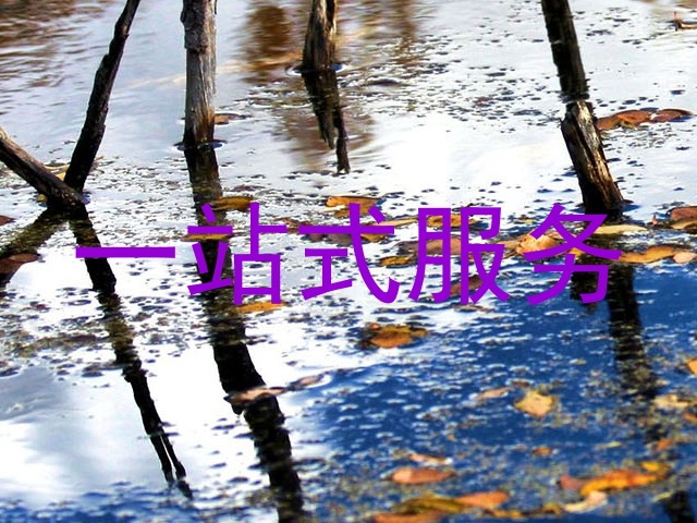 一站式服务