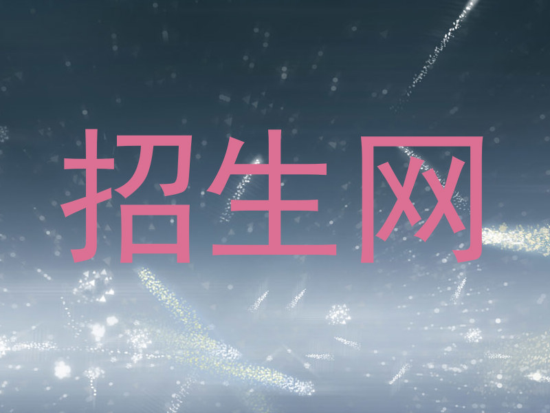招生网