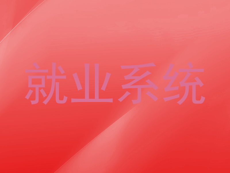 就业系统