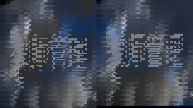 教师管理