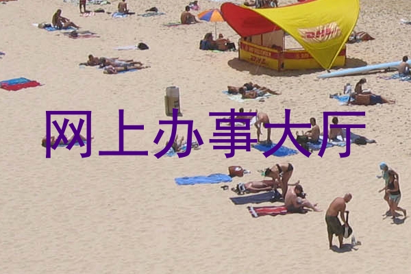 网上办事大厅
