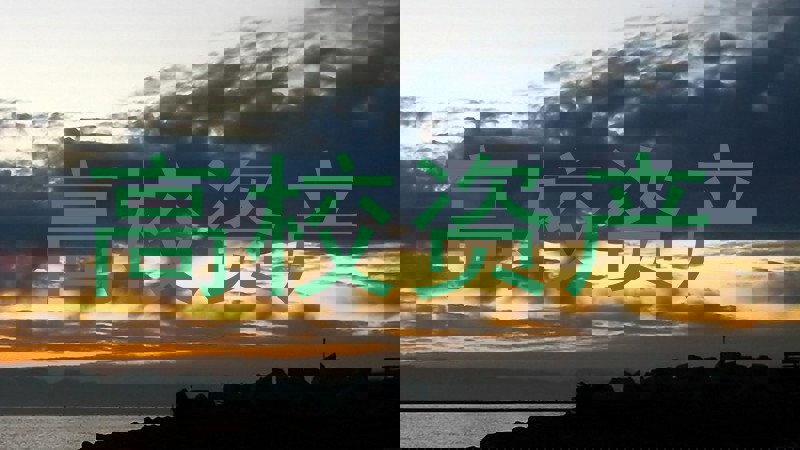 高校资产