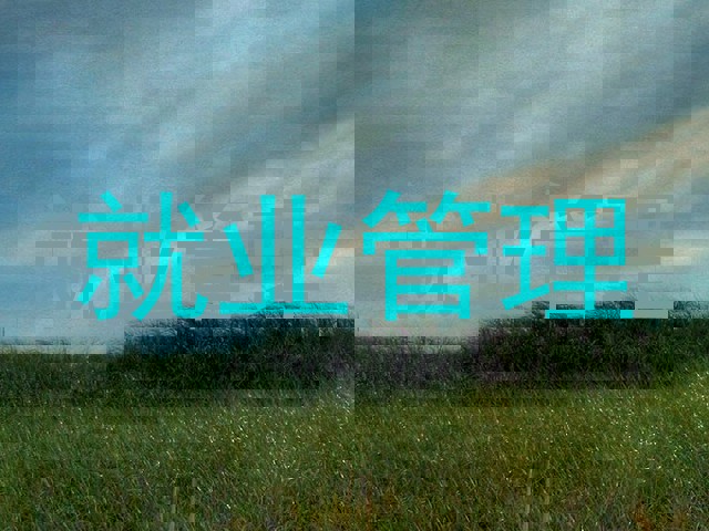 就业管理