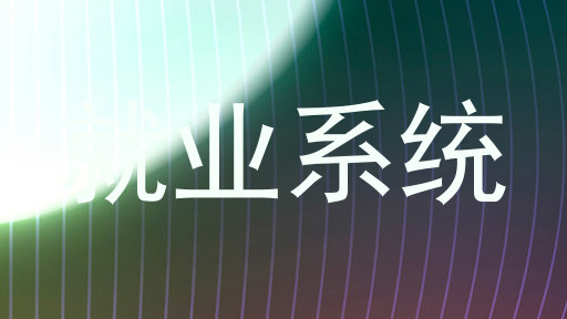 就业系统