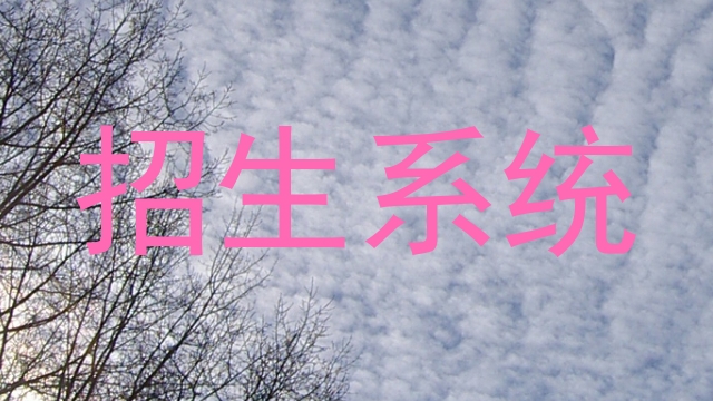 招生系统